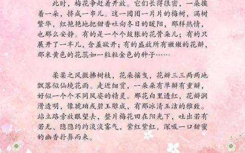 梅花的外形特点与识别指南