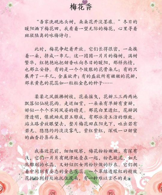梅花的外形特点与识别指南
