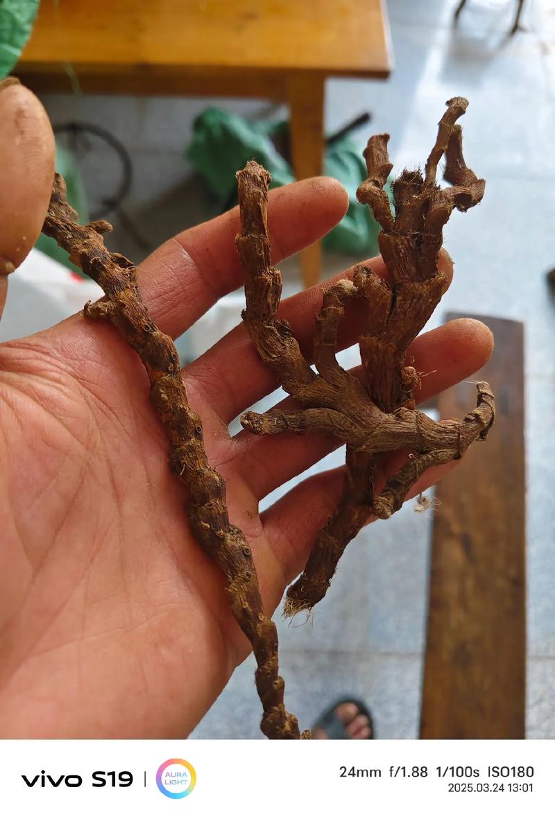 七、成活注意事项：三个常见问题要提前避免