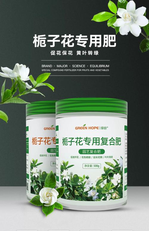 栀子花施肥宝典 | 从选肥到促花全攻略 栀子花施肥宝典 | 从选肥到促花全攻略