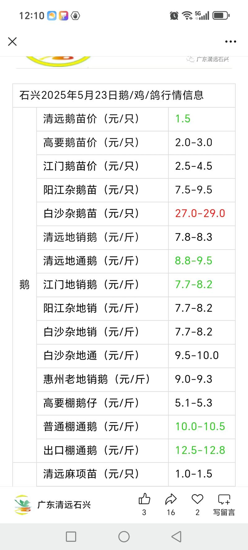 鹅苗现在什么价格?2025年最新市场报价与五大影响因素分析 产地影响:主产区价格低,非产区需加物流溢价