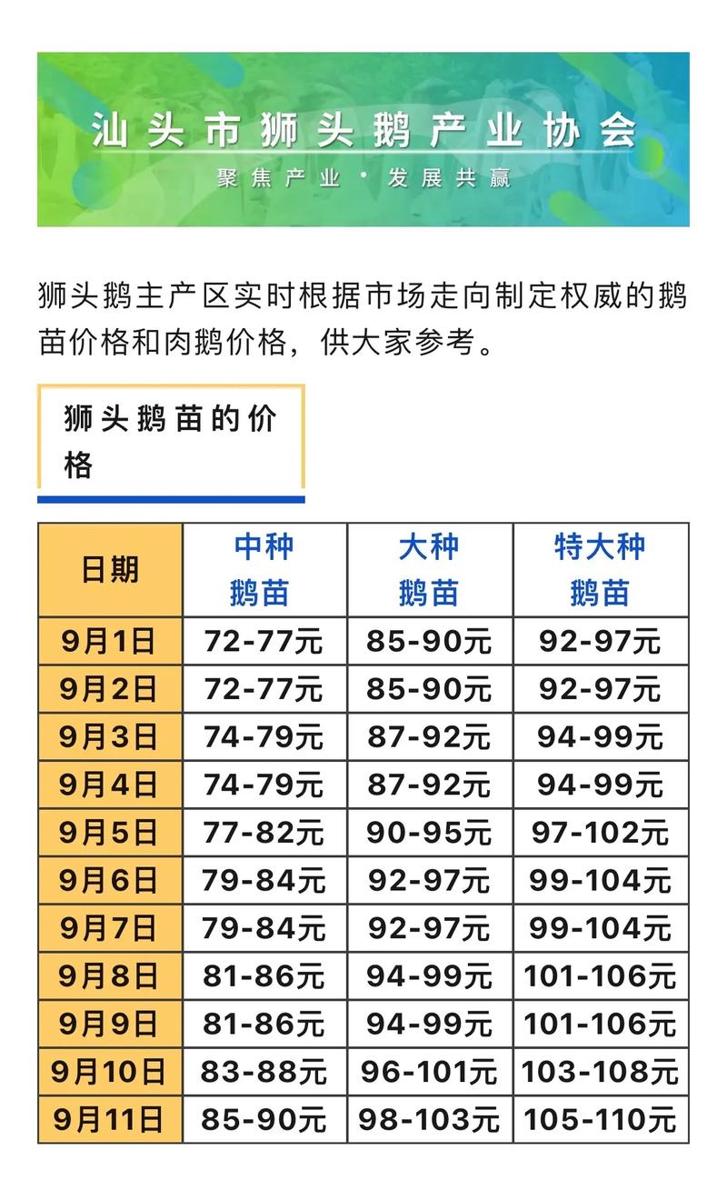 鹅苗现在什么价格?2025年最新市场报价与五大影响因素分析 数量影响:批发价通常比零售价低20%-40%