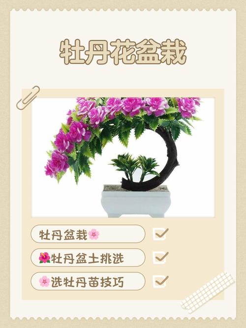 牡丹花在什么季节盛开?从花期到盆栽地栽养护全解 FAQ