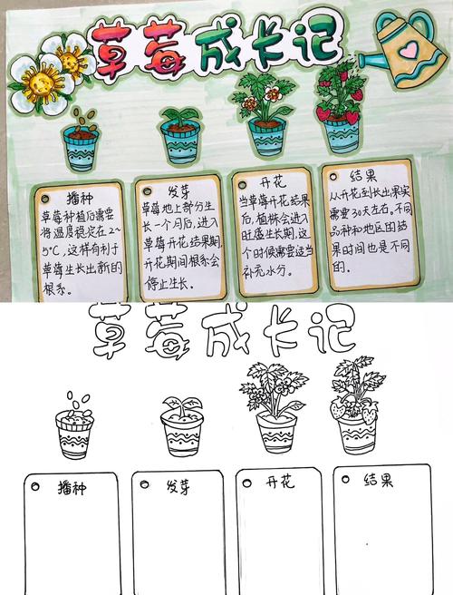 二、种植前准备：选对品种与位置