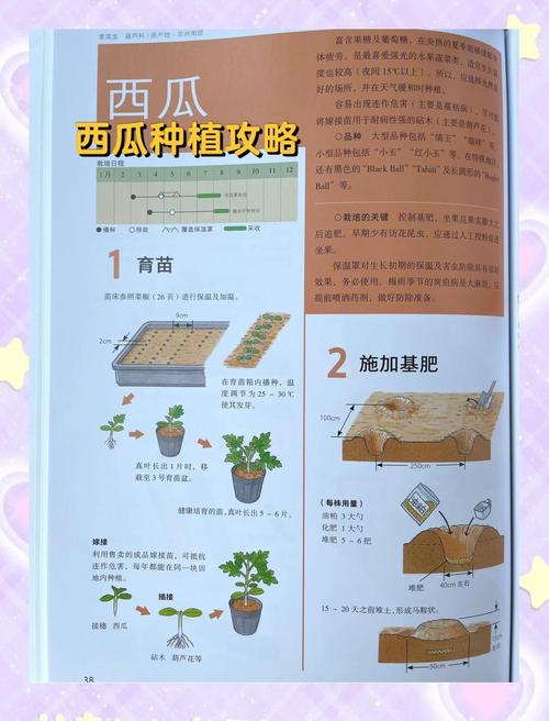 六、病虫害防治