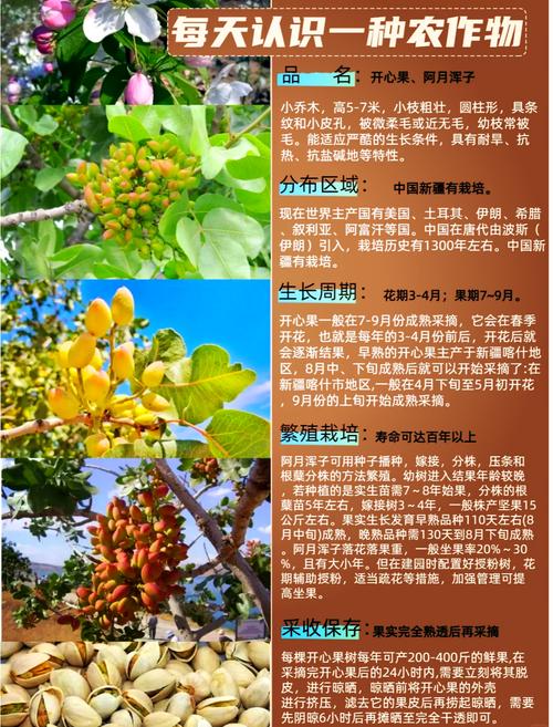 结语