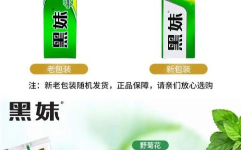 菊花植物百科：从品种识别到养护全攻略