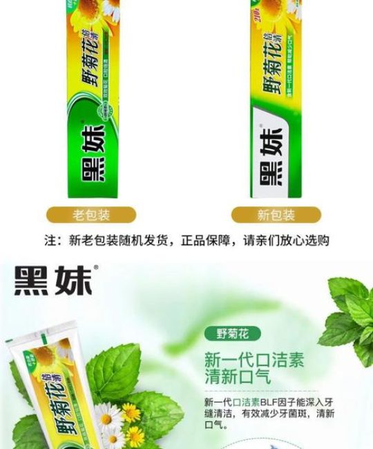 菊花植物百科：从品种识别到养护全攻略