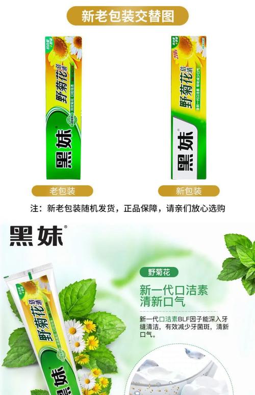菊花植物百科：从品种识别到养护全攻略
