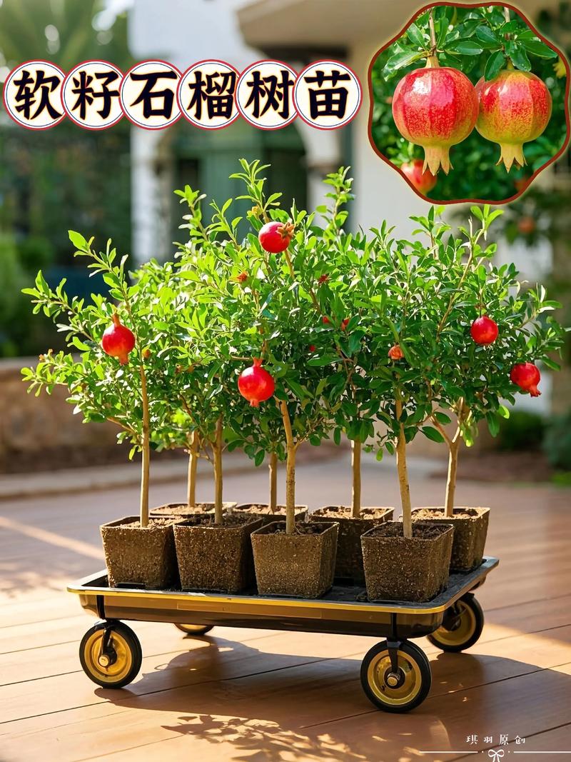 采购咨询指南