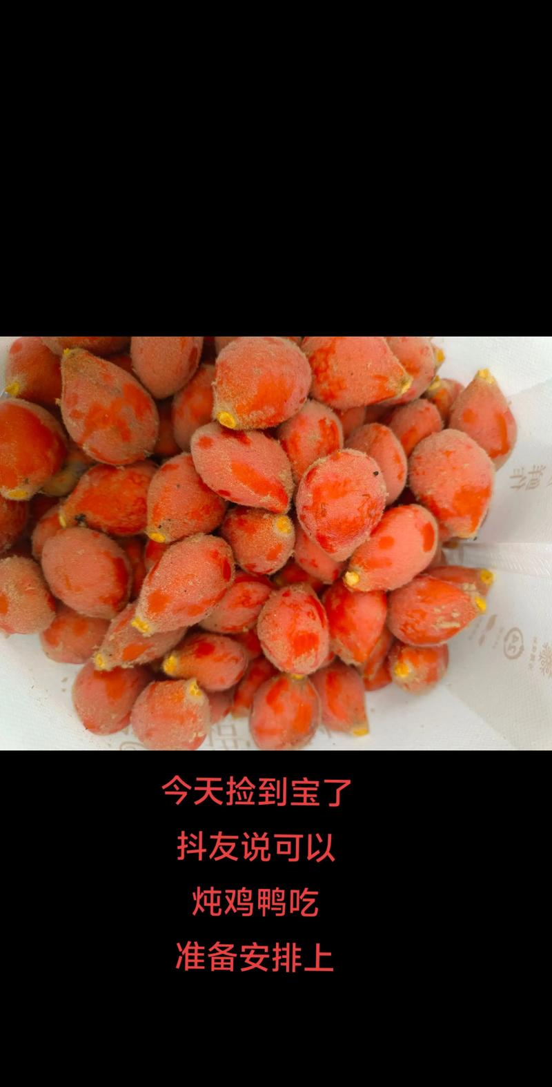 一、铁树果到底能不能吃？