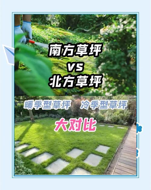 南方草坪用什么草最好?2026年暖季型草坪品种对比与养护指南 操作步骤:建植与养护全流程