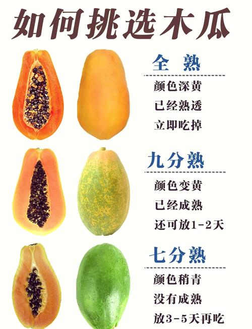 六、总结：木瓜怎么吃最简单？