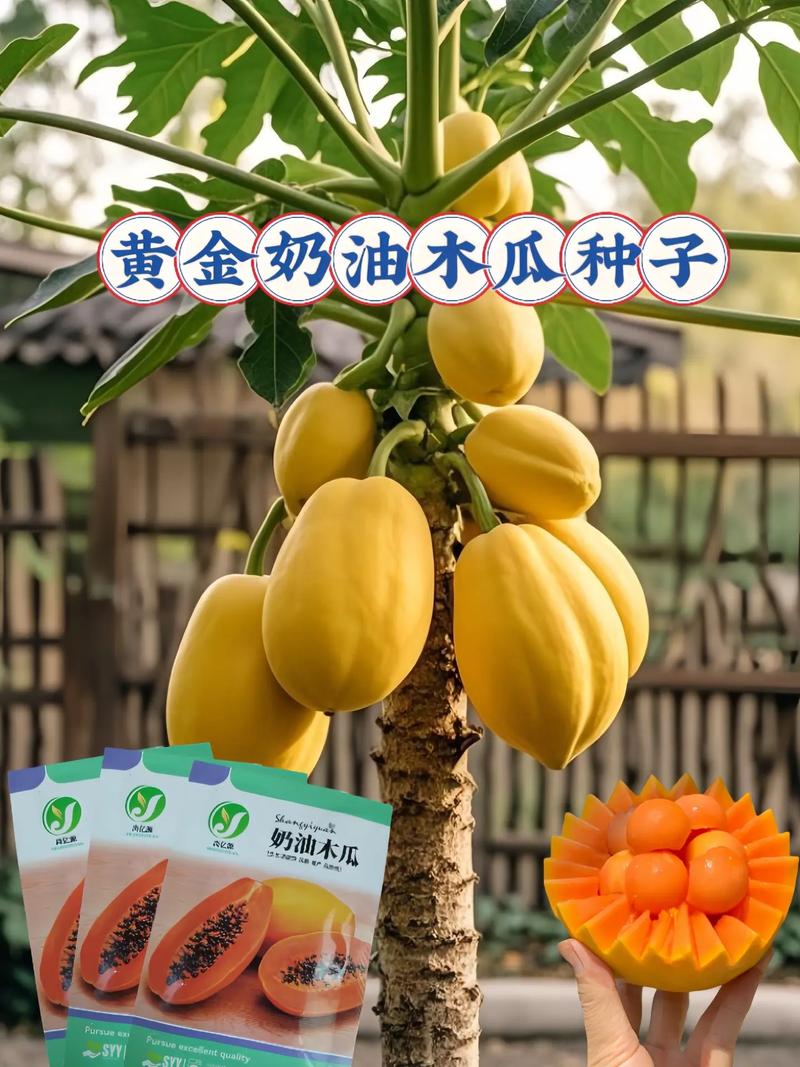木瓜搭配什么吃最好?园艺种植中的最佳伴生植物让果实更香甜 六、从种植到餐桌:搭配种植的最终成果