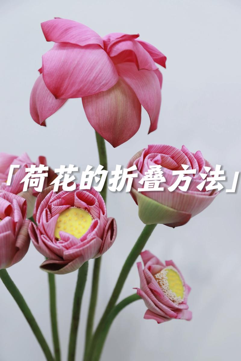 广东花卉批发哪里便宜?采购渠道专家教你一套科学评估法 二、品种真实性核查:确认你买的是“那个花”