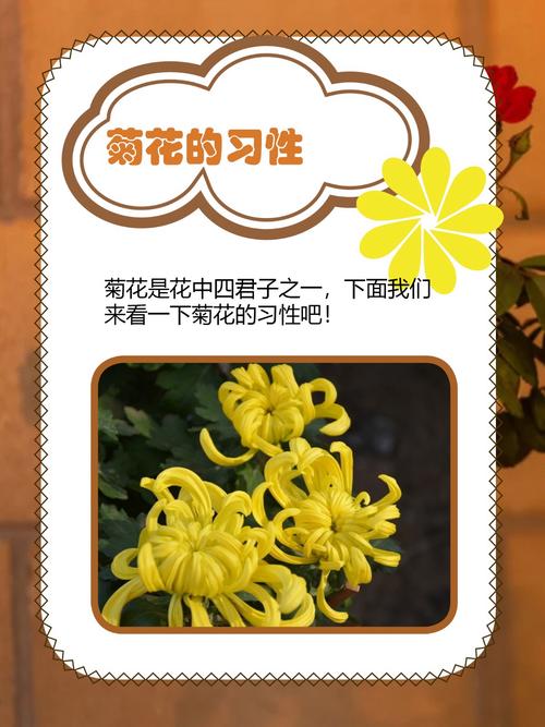 常见误区与纠正