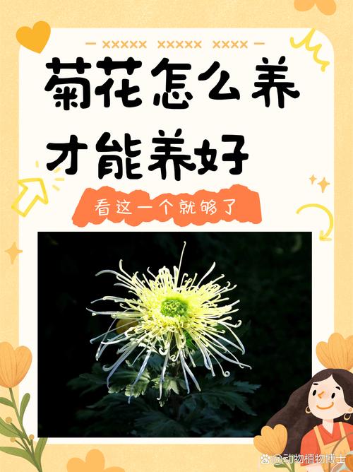 总结：3个核心可执行动作