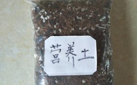 虎皮兰用什么土栽培最好？最佳配土方案与操作指南