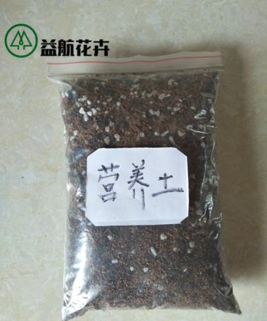 虎皮兰用什么土栽培最好？最佳配土方案与操作指南
