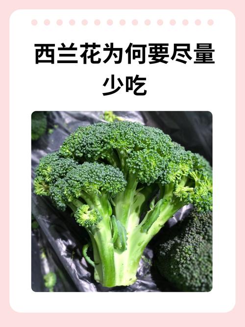 引言：被误解的西兰花