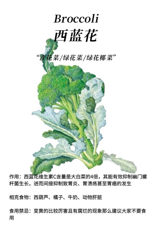 花梗与侧芽：二次收获的秘密