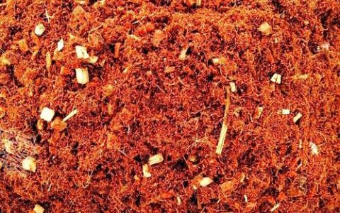 椰子壳可以水培植物吗？椰糠基质使用全指南