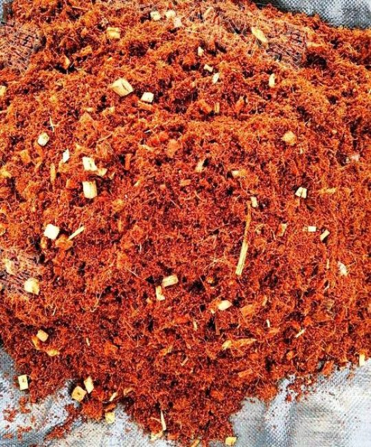 椰子壳可以水培植物吗？椰糠基质使用全指南