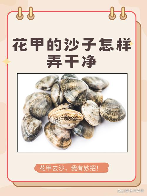 水培操作步骤