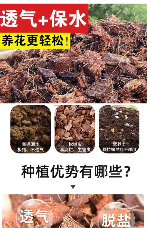 常见问题 (FAQ)