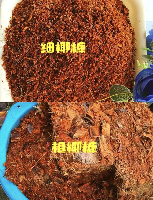 总结