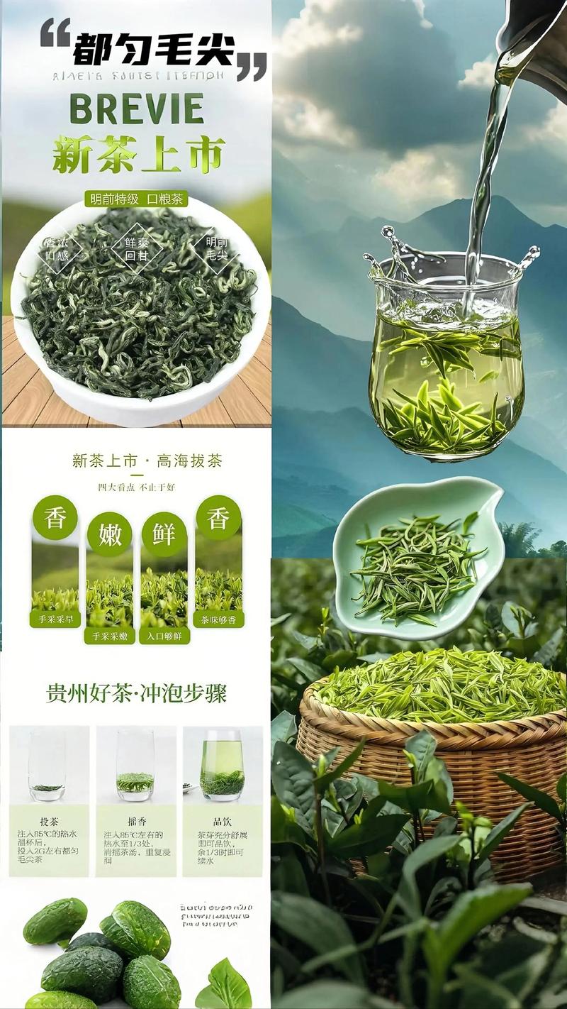 都匀毛尖茶多少钱一斤?2025年价格区间与影响因素分析 都匀毛尖茶多少钱一斤?2025年价格区间与影响因素分析