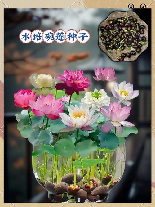 价格综合一览表（2026年参考）