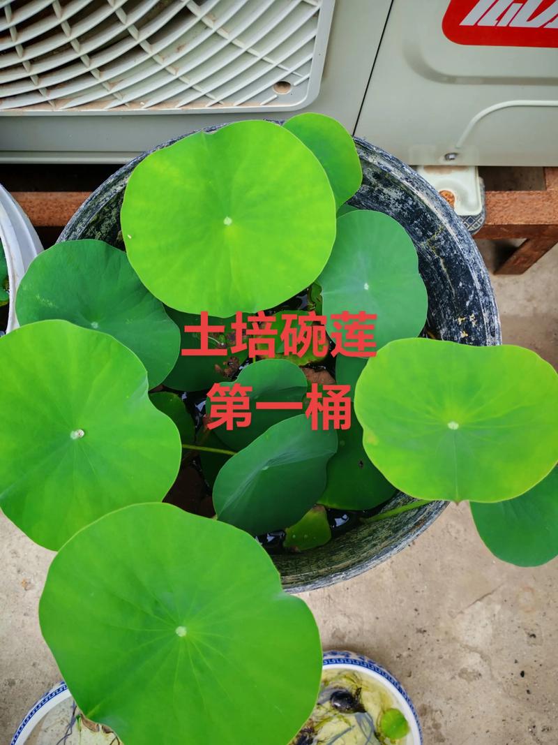 运输因素：物流成本占12%‑28%