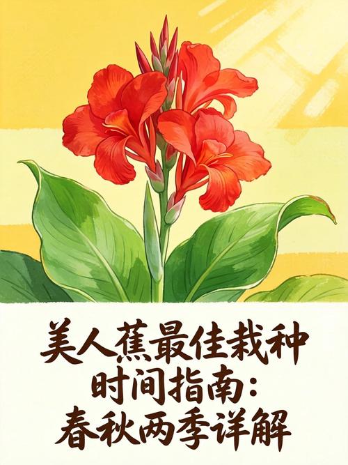 美人蕉种植方法全攻略:从选时到成活的7步实操指南 七、成活注意事项