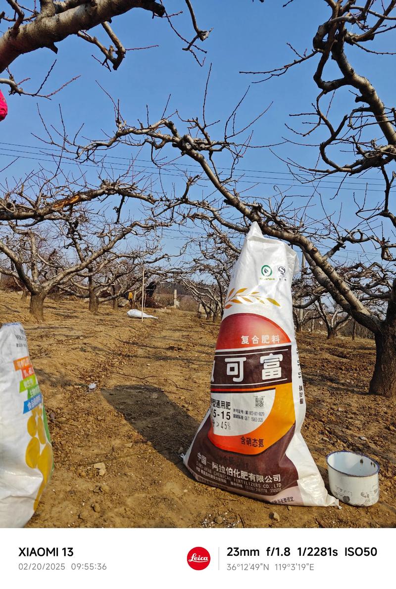 修剪：春季修剪以疏剪为主，结合短截和回缩