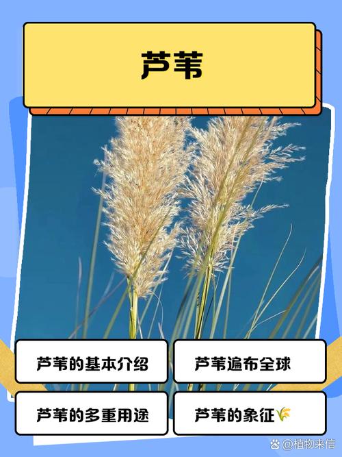 常见问题（FAQ）