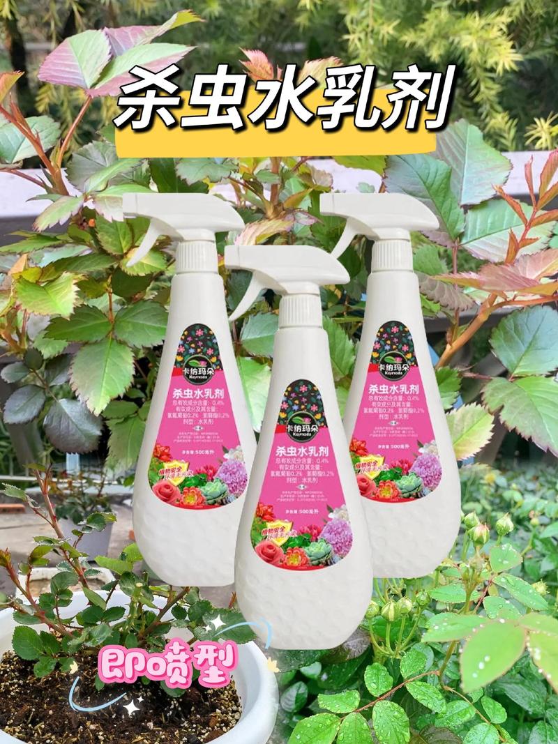月季花自制杀虫水:家庭园艺安全防治全攻略 月季花自制杀虫水:家庭园艺安全防治全攻略
