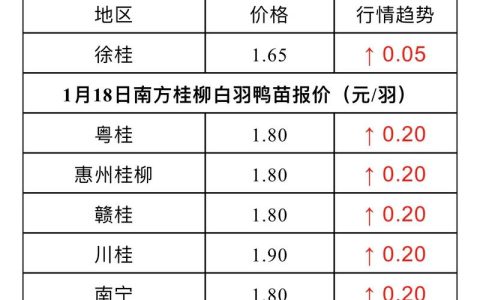 麻鸭苗价格多少？2024最新报价与影响因素全解析