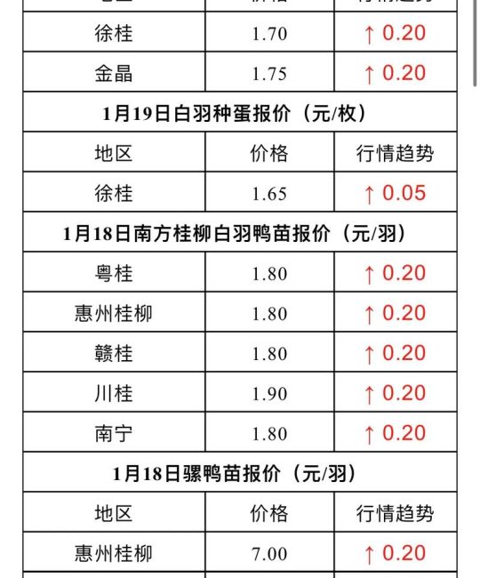 麻鸭苗价格多少？2024最新报价与影响因素全解析