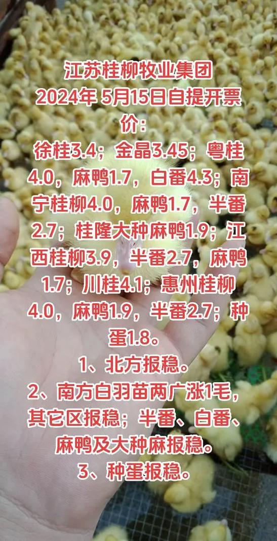 常见问题（FAQ）