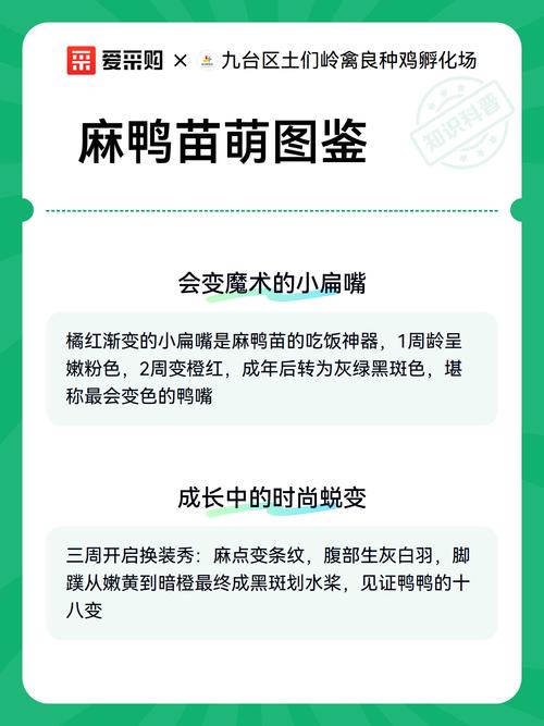 咨询指南