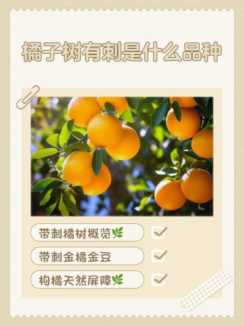 金桔树长刺吗?了解带刺的奥秘与养护技巧 结语