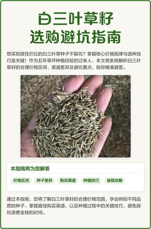草籽多少钱一斤?2026年草坪草籽价格与选购指南 推荐清单:场景与预算匹配