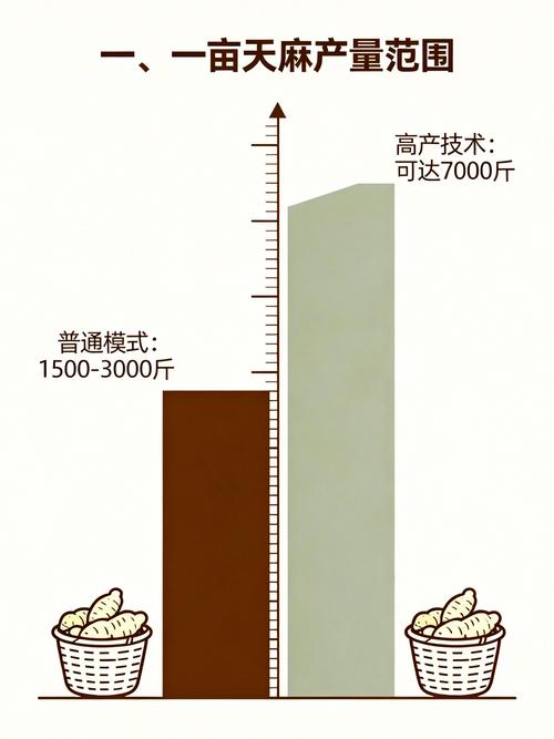 天麻种植技术指南:一亩地利润多少及种植全流程详解 天麻种植技术指南:一亩地利润多少及种植全流程详解