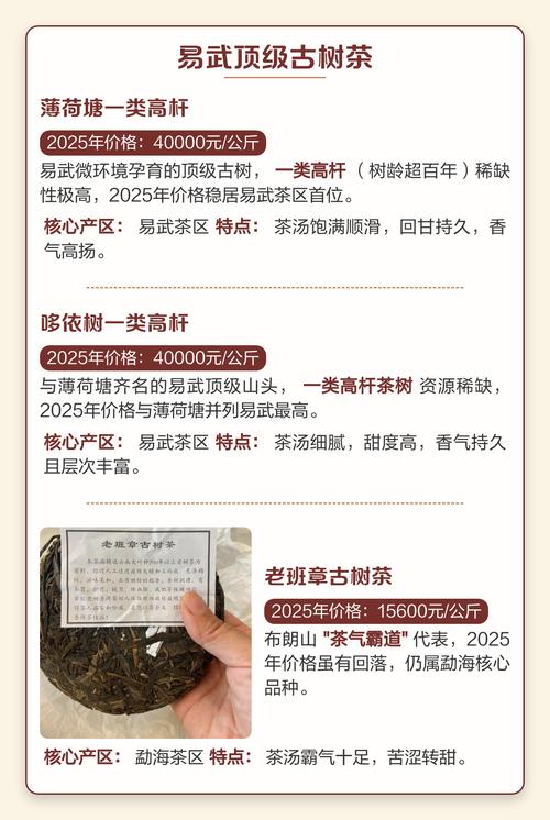 原生态古树茶多少钱?2025年价格参考与五大影响因素 产地与山头:价格的最大变量
