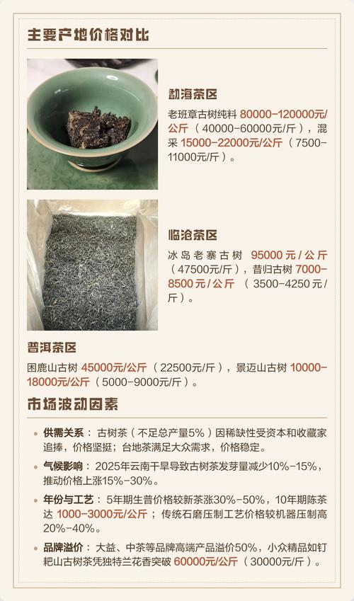 原生态古树茶多少钱?2025年价格参考与五大影响因素 规格与树龄:决定价格的第一维度