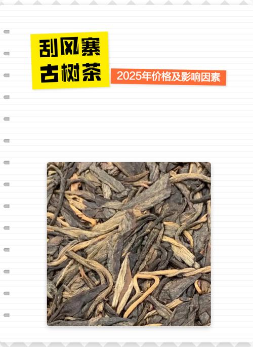 原生态古树茶多少钱?2025年价格参考与五大影响因素 物流与包装:不可忽视的附加成本