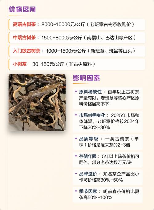 原生态古树茶多少钱?2025年价格参考与五大影响因素 综合报价参考表