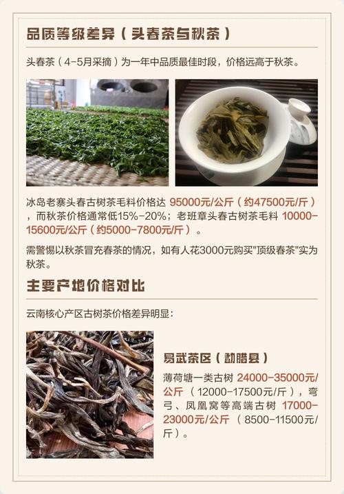 原生态古树茶多少钱?2025年价格参考与五大影响因素 结语与询价指南