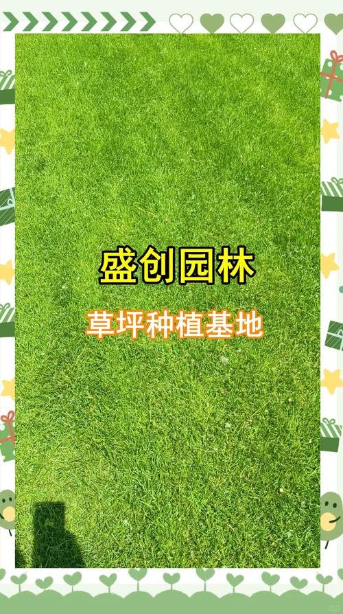 操作步骤：实现“四季常青”的冬季覆播方案